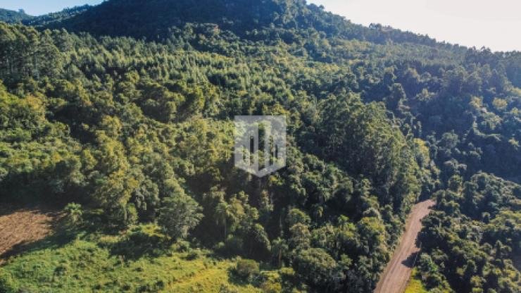 Áreas de terra, 50.000,00 m², à venda por R$ 285.000,00 - Canto Karling - Linha Nova