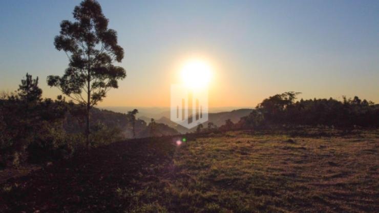 Áreas de terra, 37.000,00 m², à venda - Roseiral - Linha Nova