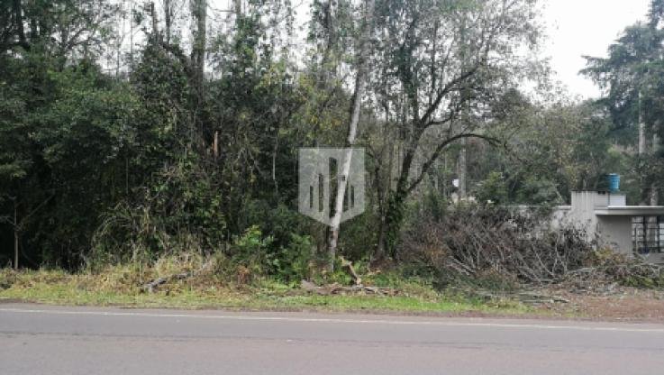Terrenos, 1.438,00 m², à venda por R$ 370.000,00 - Palmares - Ivoti