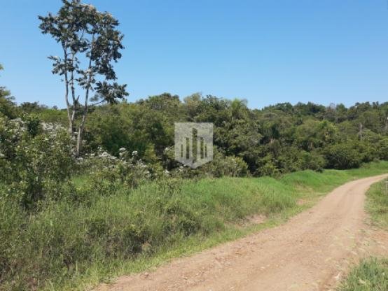 Áreas de terra, 70.000,00 m², à venda - Centro - Lindolfo Collor