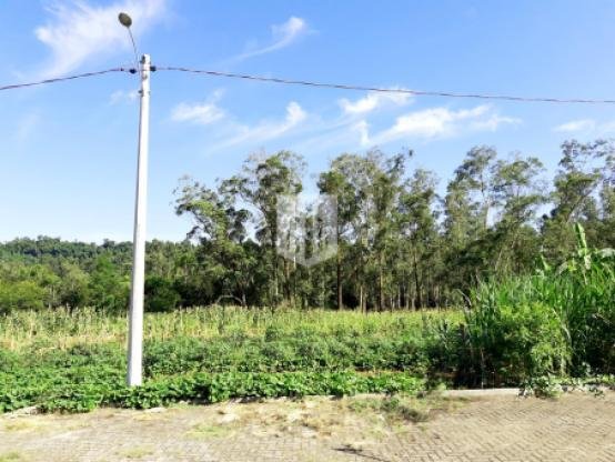 Terrenos, 583,14 m², à venda por R$ 128.000,00 - Centro - Lindolfo Collor
