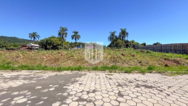 Terrenos, 363,75 m², à venda - Centro - Presidente Lucena