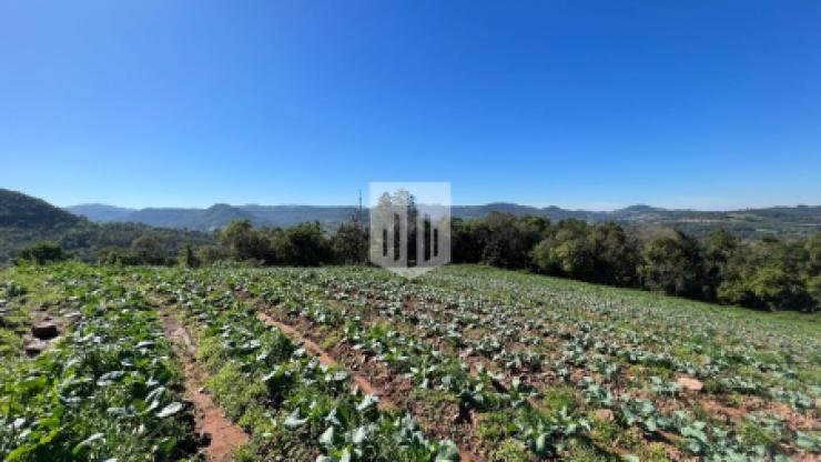 Áreas de terra, 30.809,15 m², à venda - Capela do Rosário - São José do Hortêncio